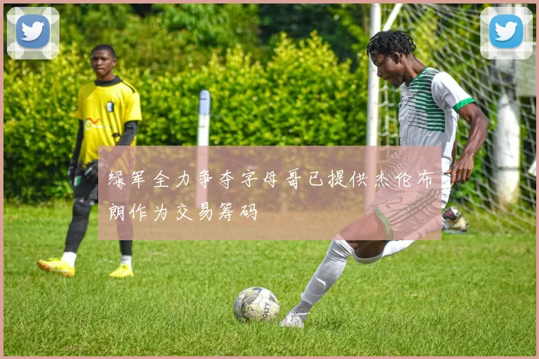 绿军全力争夺字母哥已提供杰伦布朗作为交易筹码