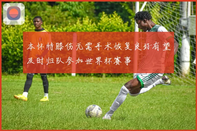 本怀特膝伤无需手术恢复良好有望及时归队参加世界杯赛事